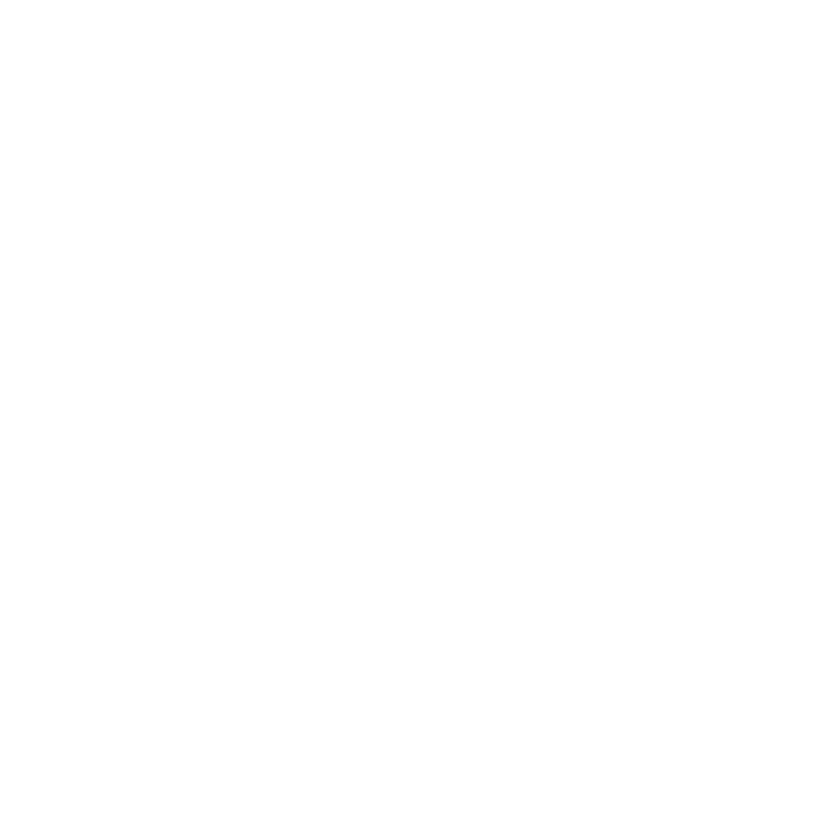 Nes Kjøtt logo